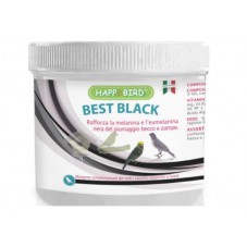 BEST BLACK